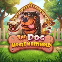 The Dog House Multihold game at Olympia Casino for Australian players